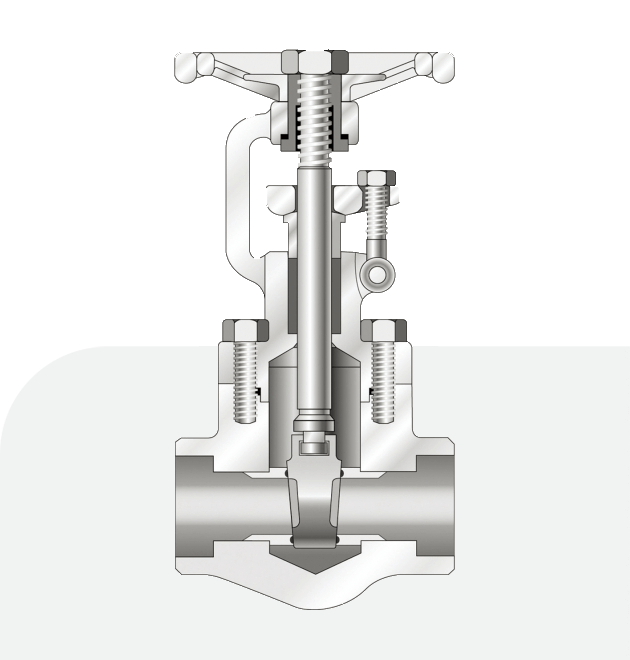 Hawks Valve,Jual Valve Hawks,Stockist Valve Hawks,Distributor Valve Hawks,Hawks Valve Indonesia,Jual Valve Carbon Steel Hawks,Jual Gate Valve Hawks,Jual Ball Valve Hawks,Jual Butterfly Valve Hawks,Forged Steel Hawks,Cast Steel Hawks,Hawks Catalog,Hawks Datasheet PDF