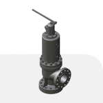 Type 31700 Pressurizer Valve