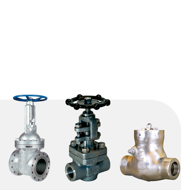 DSI Valve,DSI Valve Indonesia,Distributor DSI Valve Indonesia,Stokist DSI Valve,Jual Valve DSI,Jual DSI Valve