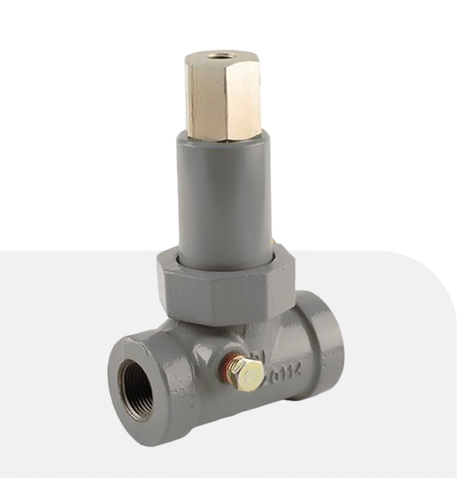 Fisher N120 Series Backpressure Valve