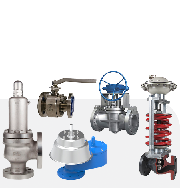 EFS Valve, EFS Valve Indonesia, Distributor Valve EFS, Jual Valve EFS, EFS Valve Catalog, Valve Indonesia